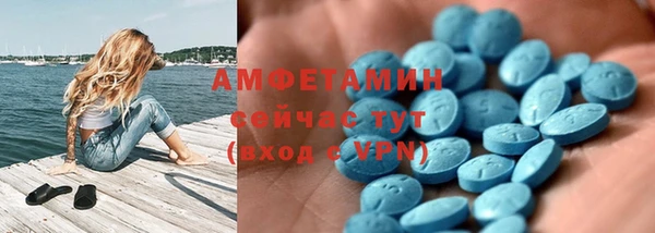 ALPHA PVP Няндома