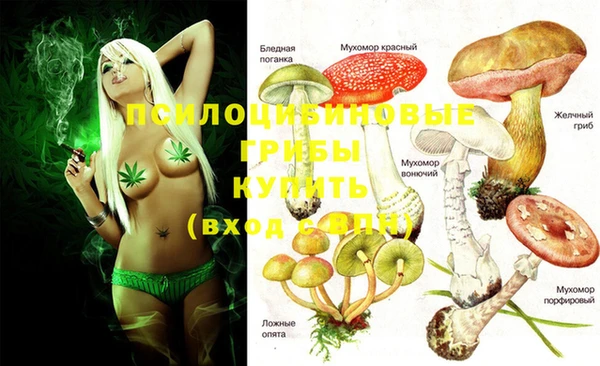 спайс Яранск