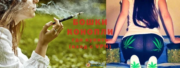 ALPHA PVP Няндома