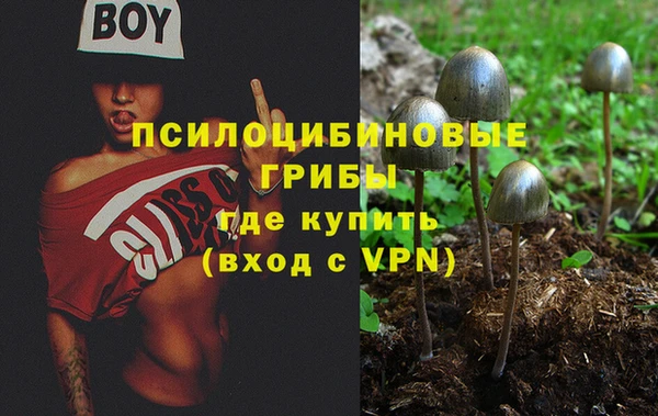 тгк Нязепетровск