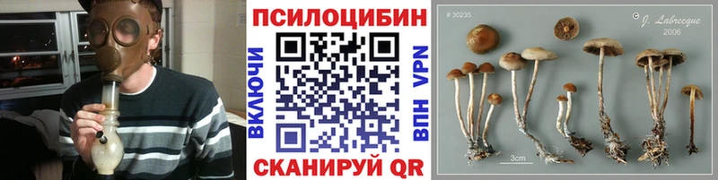 Галлюциногенные грибы MAGIC MUSHROOMS  Петров Вал 